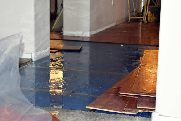 Professional Flood Cleanup technician working in East Bridgewater, MA